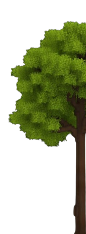 Tree Decoration